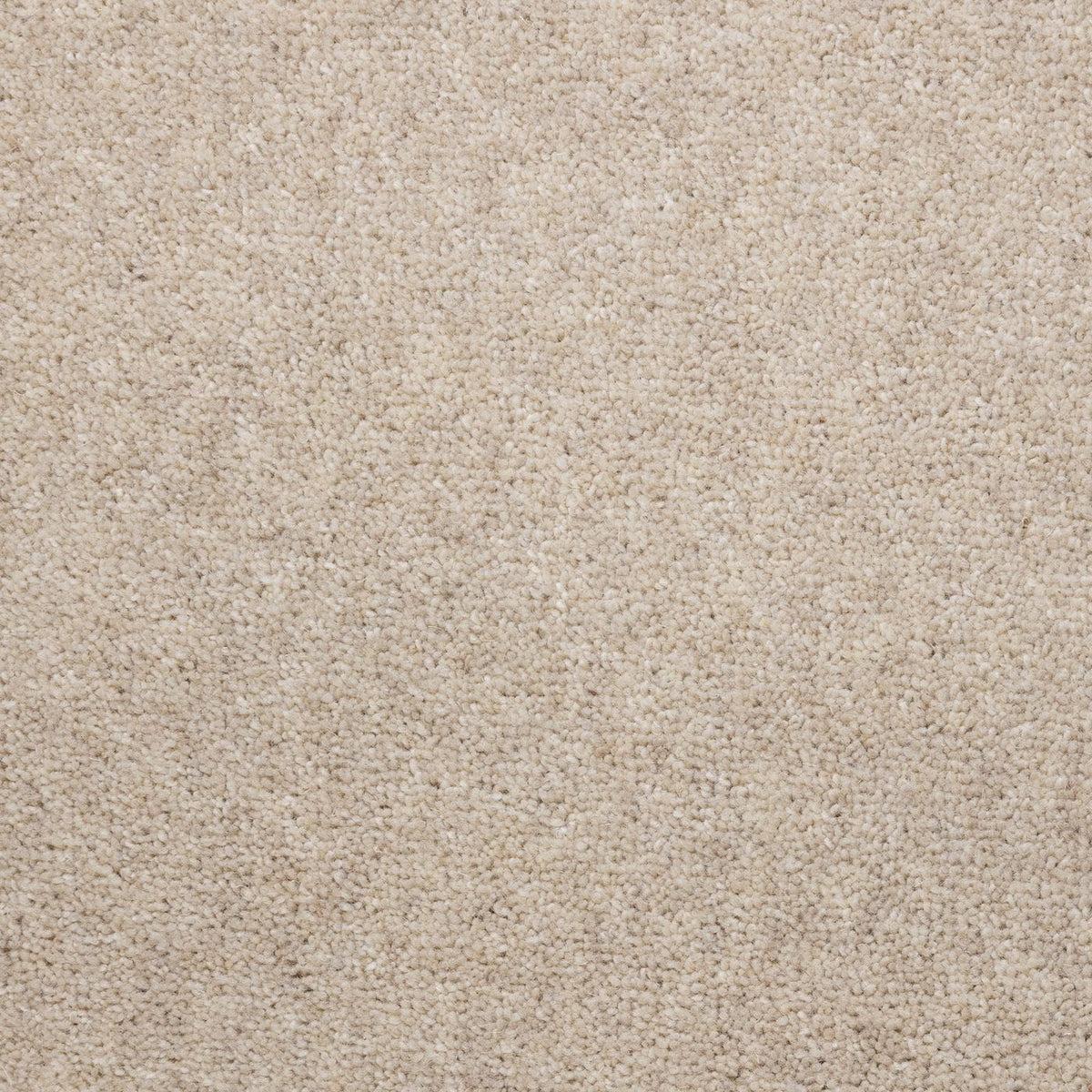 Flooring Wholesale Windsor 40oz Cotton Carpet