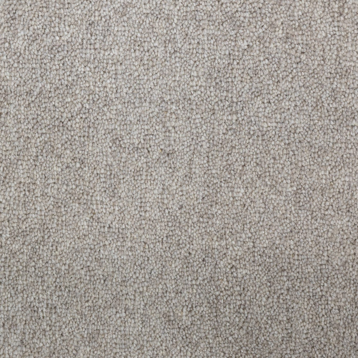 Flooring Wholesale Windsor 40oz Dark Beige Carpet