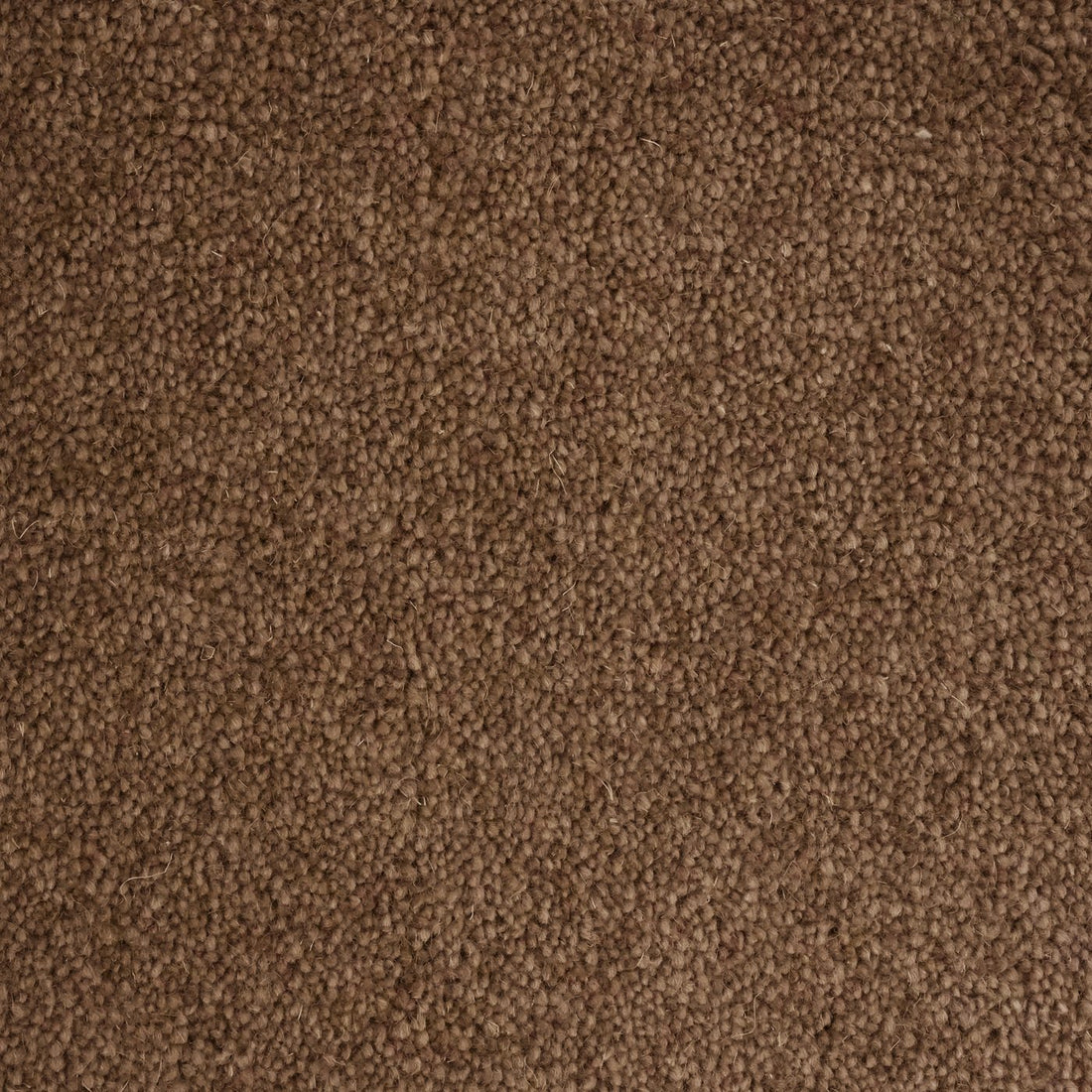 Flooring Wholesale Windsor 40oz Dark Fawn Carpet
