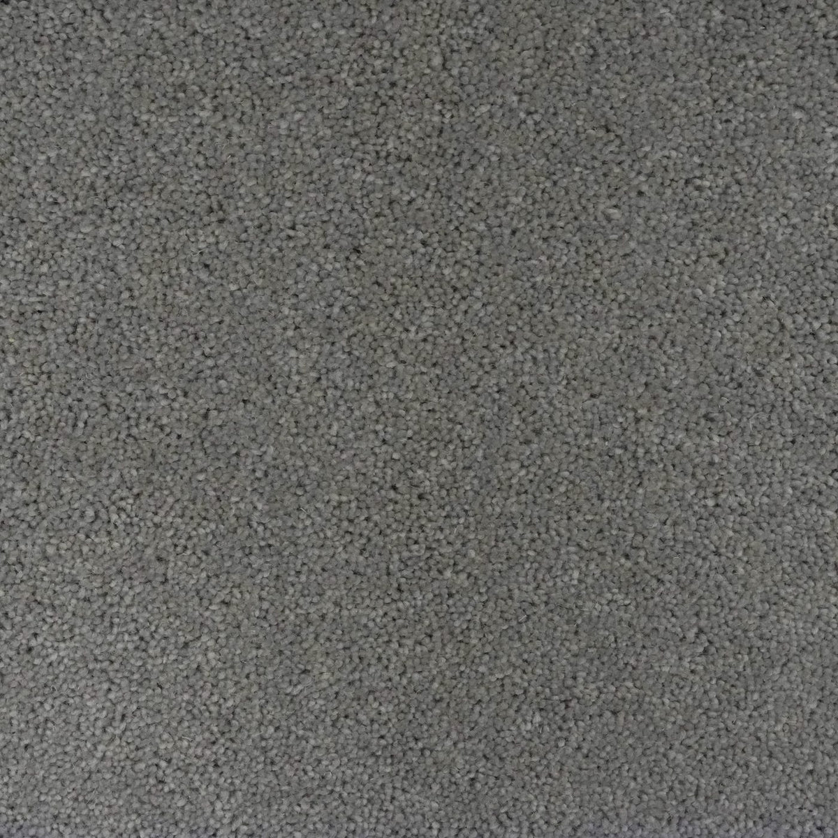 Flooring Wholesale Windsor 40oz Dark Grey Carpet