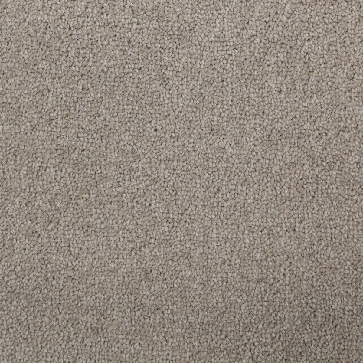 Flooring Wholesale Windsor 40oz Fawn Carpet