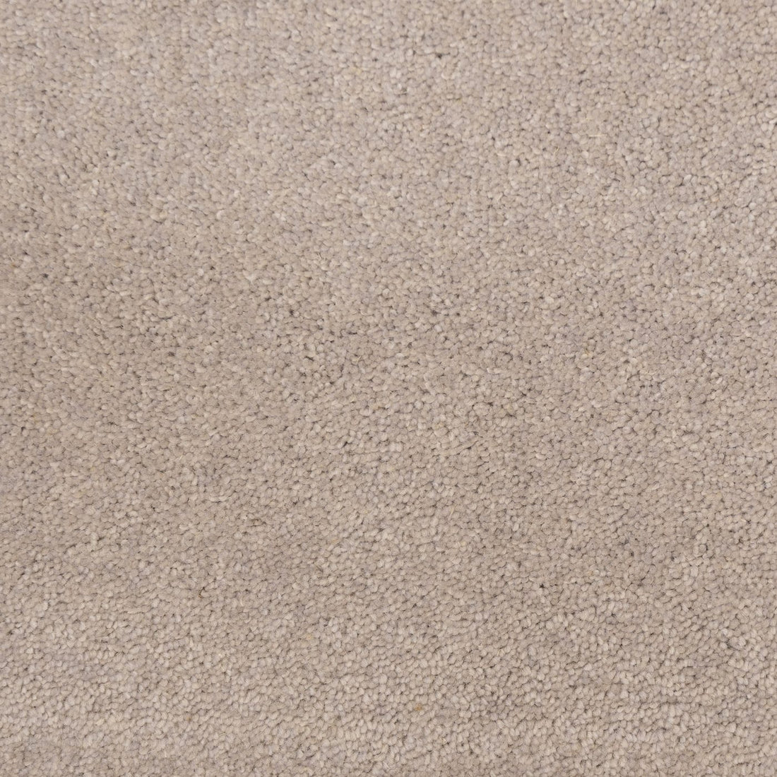 Flooring Wholesale Windsor 40oz Light Grey Carpet