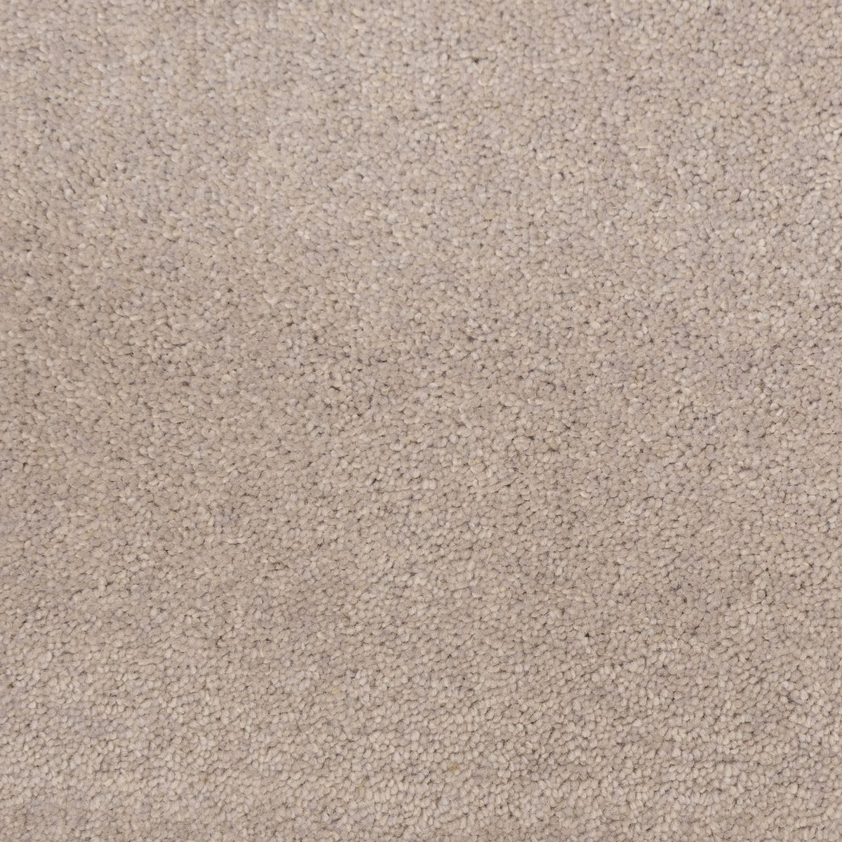 Flooring Wholesale Windsor 40oz Light Grey Carpet