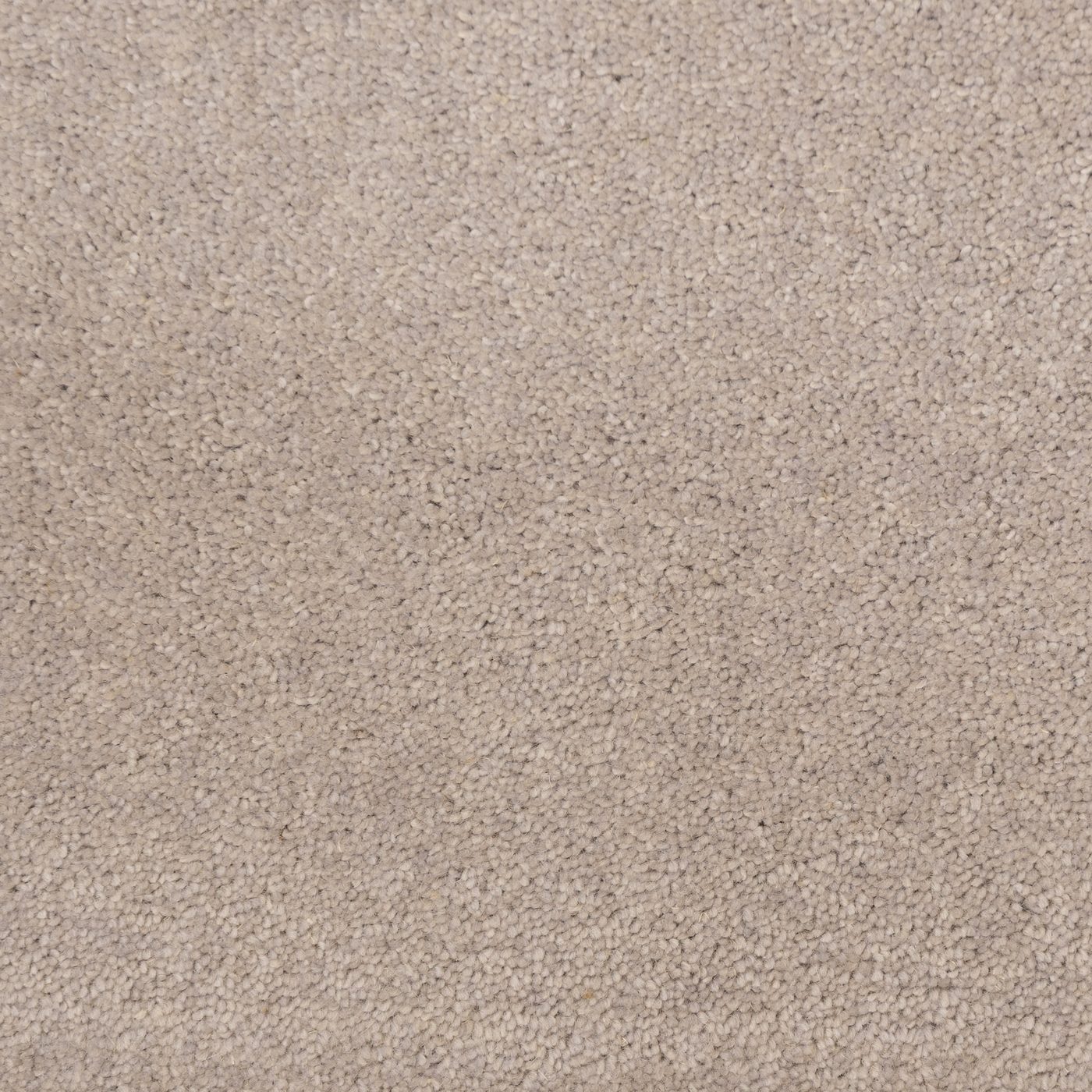 Flooring Wholesale Windsor 40oz Light Grey Carpet