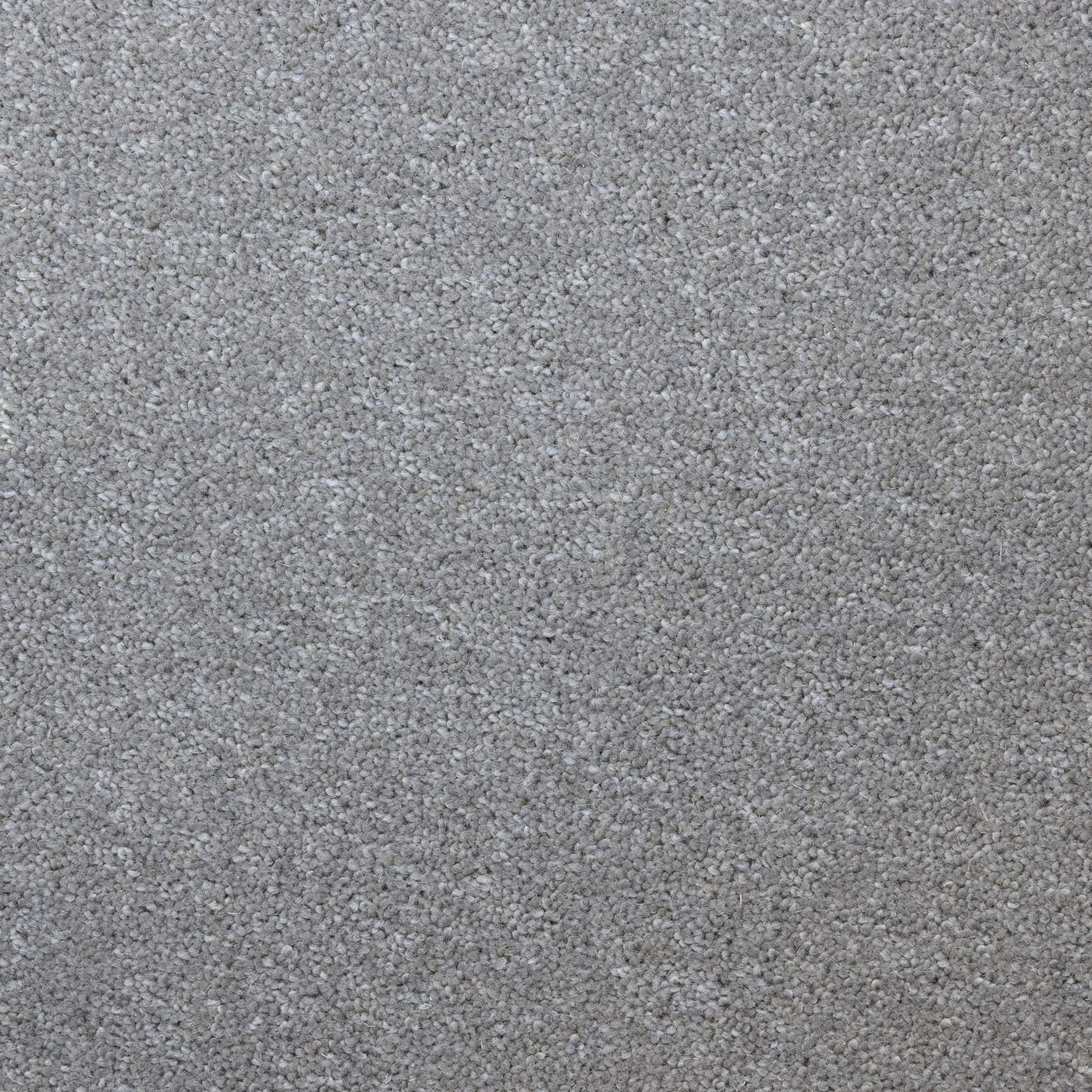 Flooring Wholesale Windsor 40oz Middle Grey Carpet