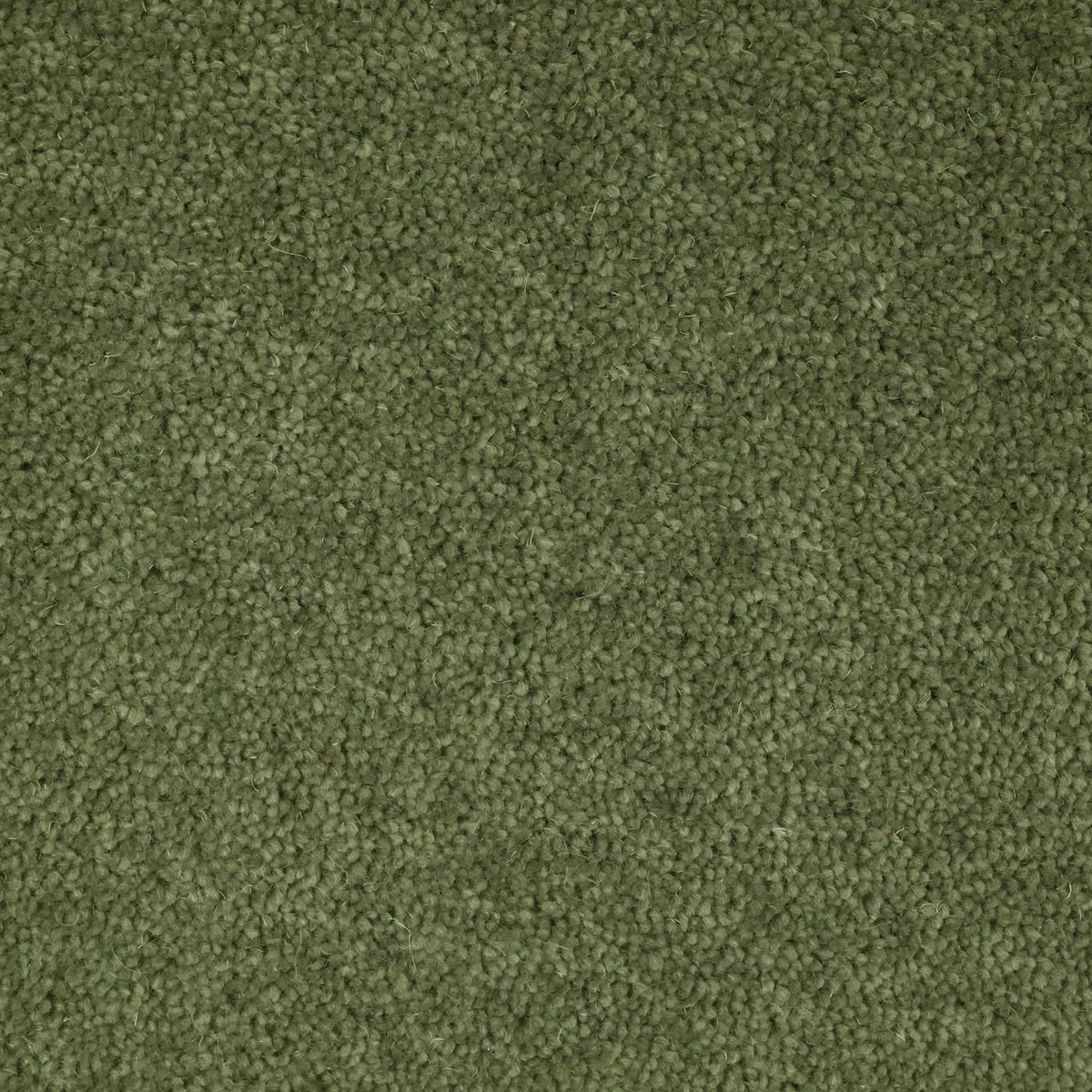 Flooring Wholesale Windsor 40oz Sage Carpet