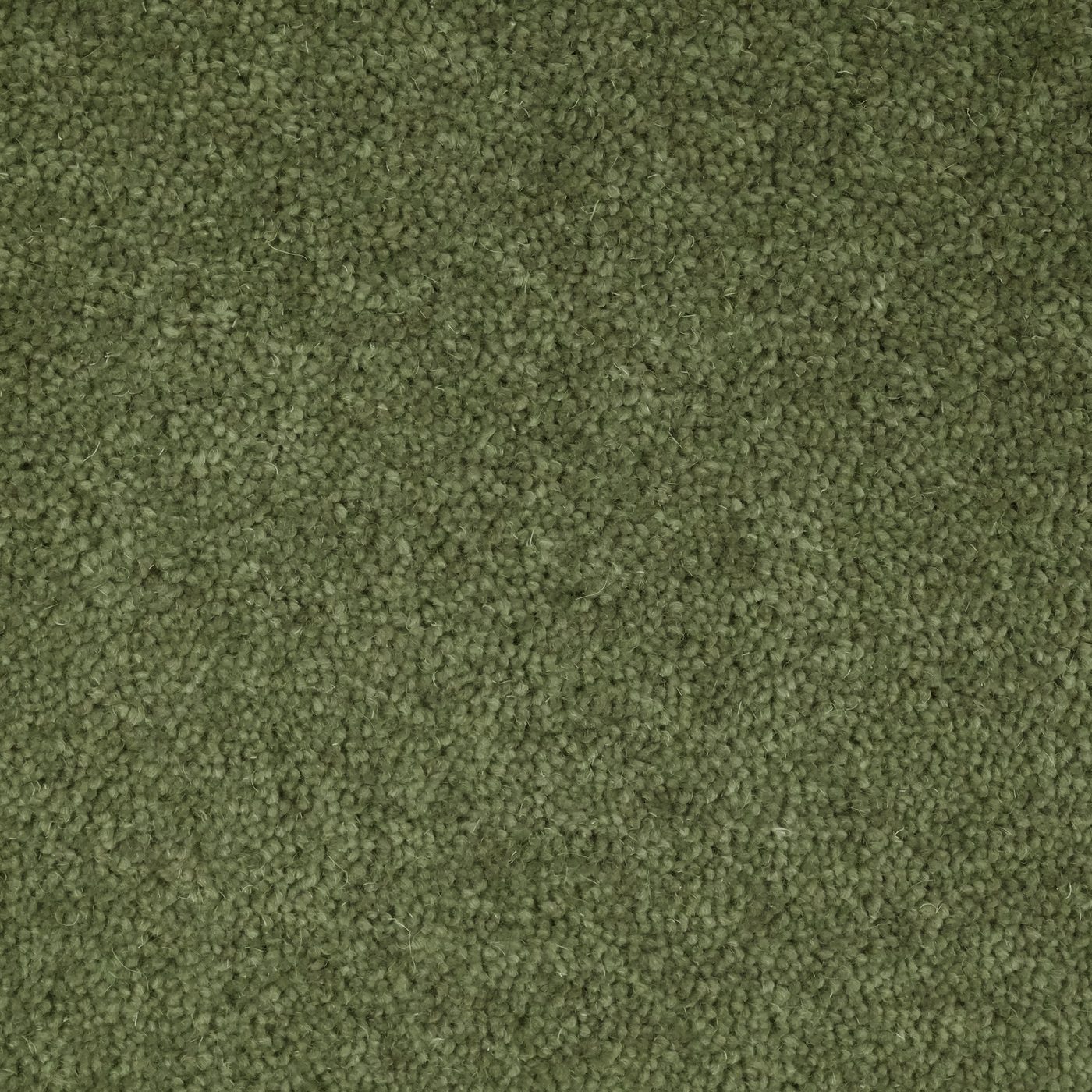 Flooring Wholesale Windsor 40oz Sage Carpet