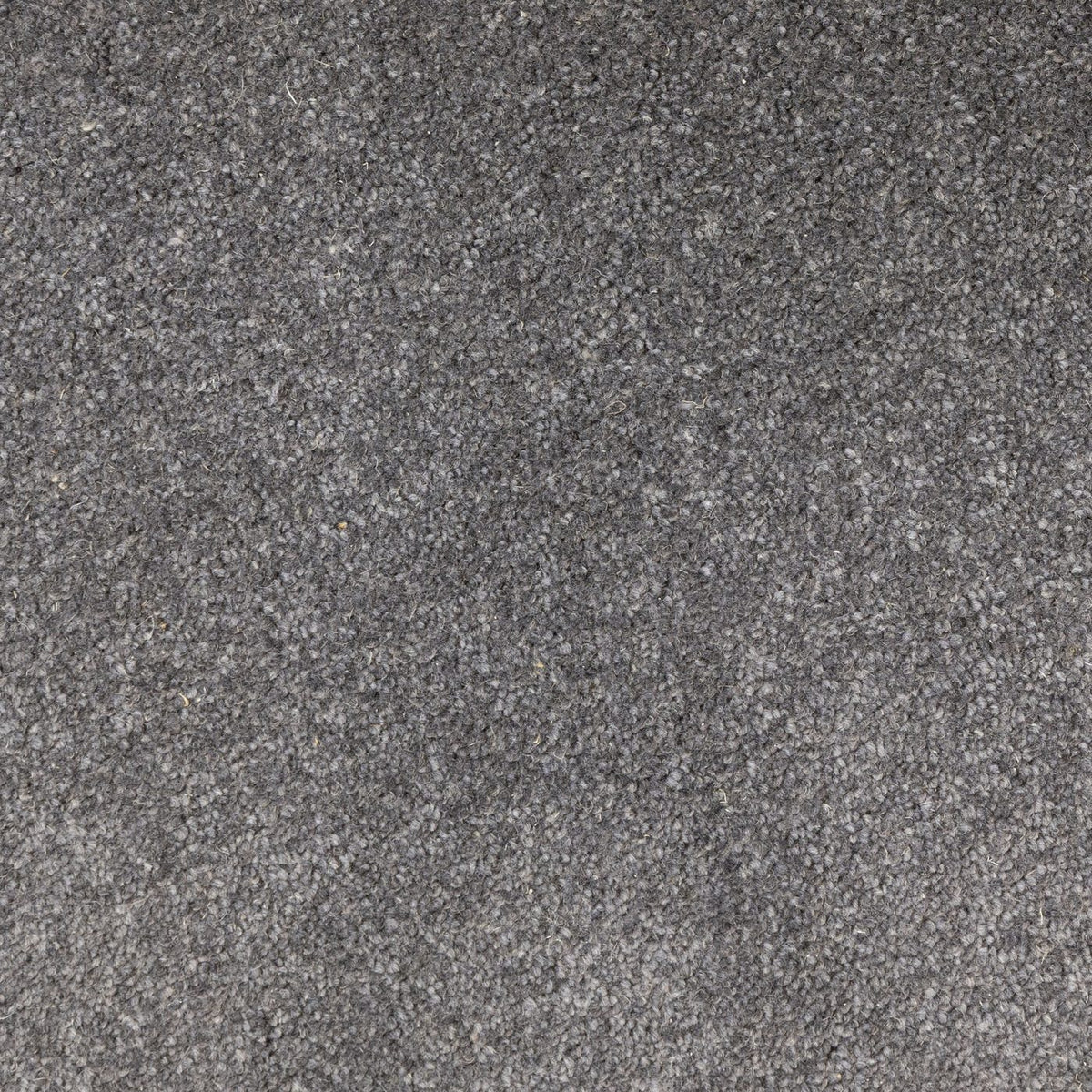 Flooring Wholesale Windsor 60oz Charcoal Carpet