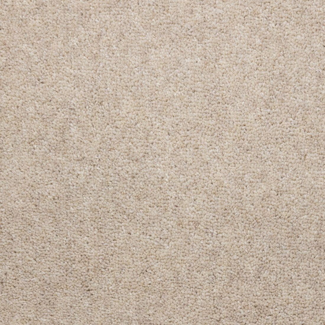 Flooring Wholesale Windsor 60oz Cotton Carpet