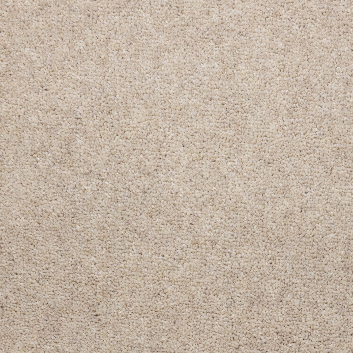 Flooring Wholesale Windsor 60oz Cotton Carpet