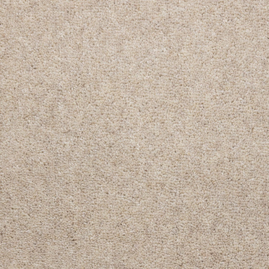 Flooring Wholesale Windsor 60oz Cotton Carpet