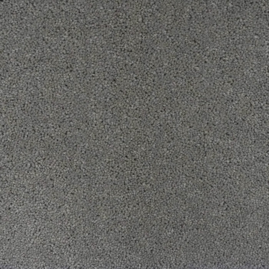 Flooring Wholesale Windsor 60oz Dark Grey Carpet