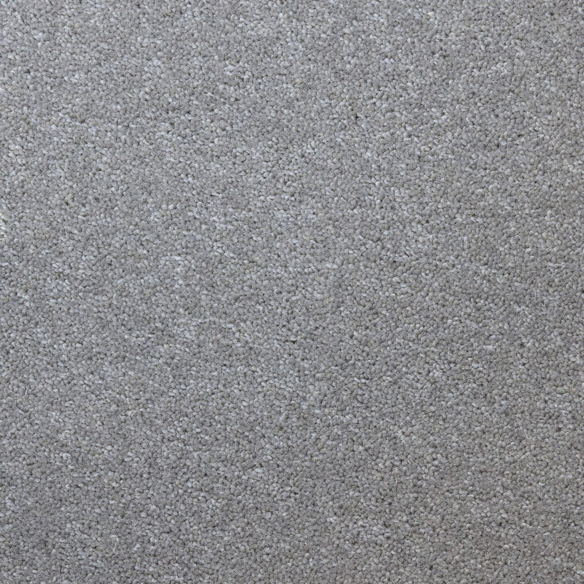Flooring Wholesale Windsor 60oz Middle Grey Carpet