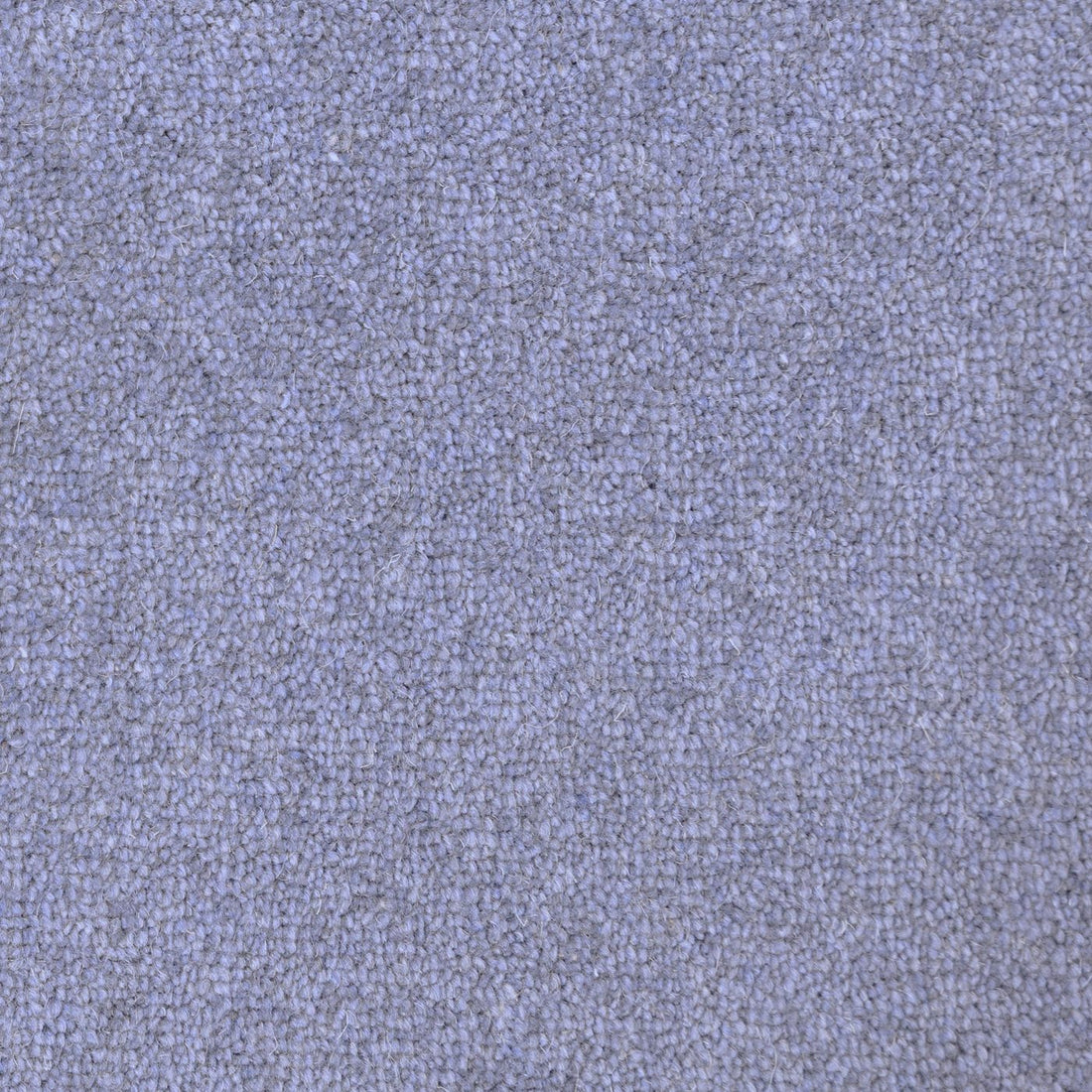 Flooring Wholesale Windsor 60oz Navy Carpet