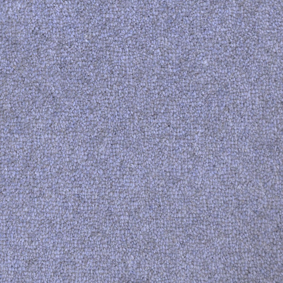 Flooring Wholesale Windsor 60oz Navy Carpet