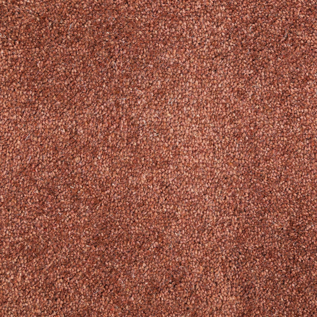 Flooring Wholesale Windsor 60oz Rust Carpet