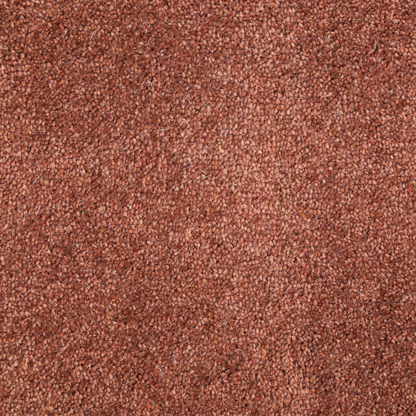Flooring Wholesale Windsor 60oz Rust Carpet