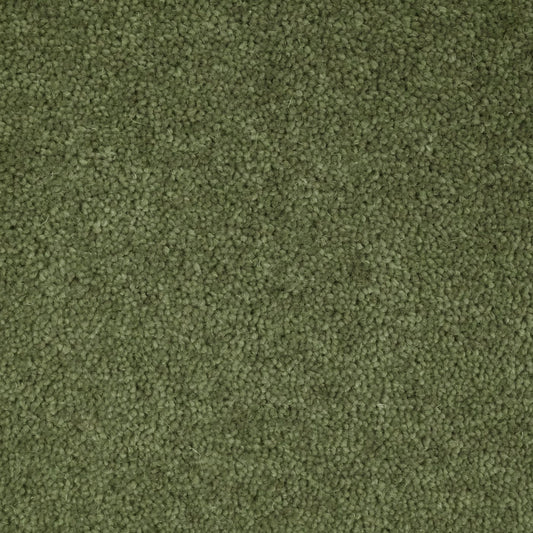 Flooring Wholesale Windsor 60oz Sage Carpet