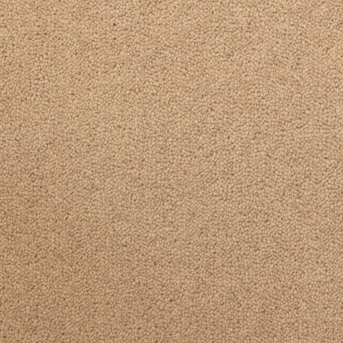 Flooring Wholesale Windsor 60oz Sand Carpet