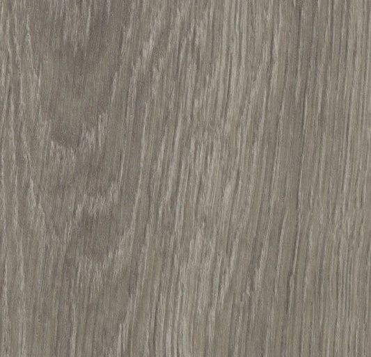 Forbo Allura Dryback Grey Giant Oak 60280DR5 LVT | Trade Prices