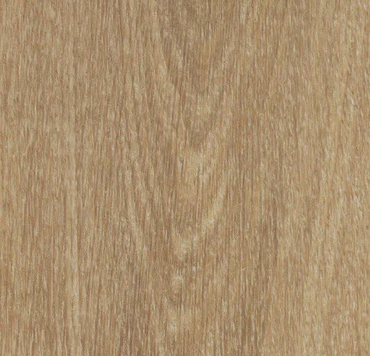 Forbo Allura Dryback Natural Giant Oak 60284DR5 LVT | Trade Prices