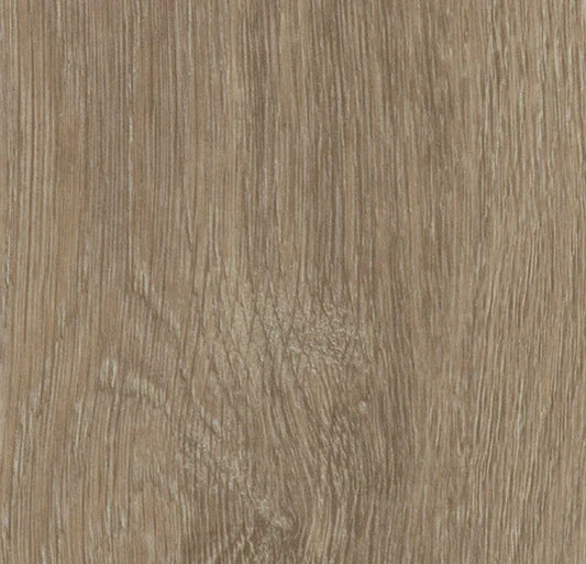 Forbo Allura Dryback Light Giant Oak 60288DR5 LVT | Trade Prices