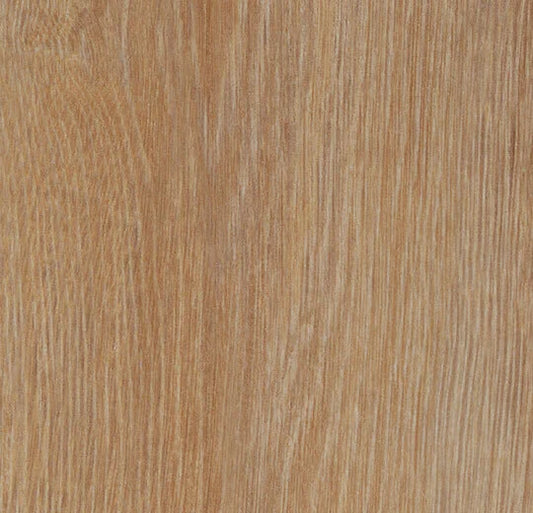 Forbo Allura Dryback Pure Oak 60295DR5 LVT | Trade Prices