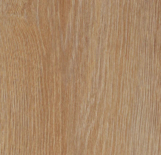 Forbo Allura Dryback Pure Oak 60295DR7 LVT | Trade Prices
