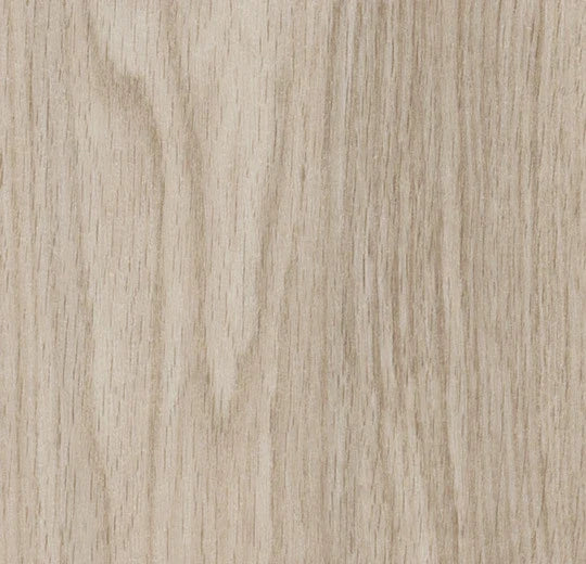Forbo Allura Dryback Light Serene Oak 63641DR5 LVT | Trade Prices
