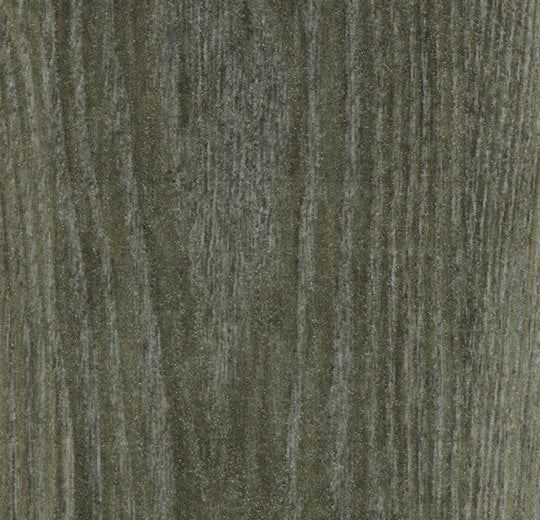 Forbo Allura Dryback Sage Ash 63664DR7 LVT | Trade Prices