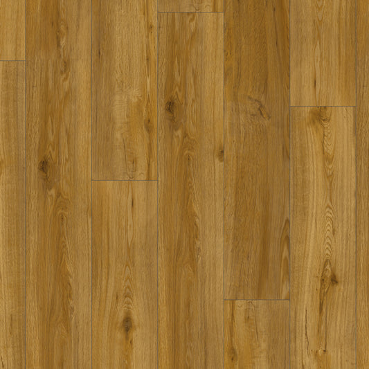Lifestyle Floors Galleria Forest Oak GPC20425130 Glue-Down LVT Flooring | Trade Prices