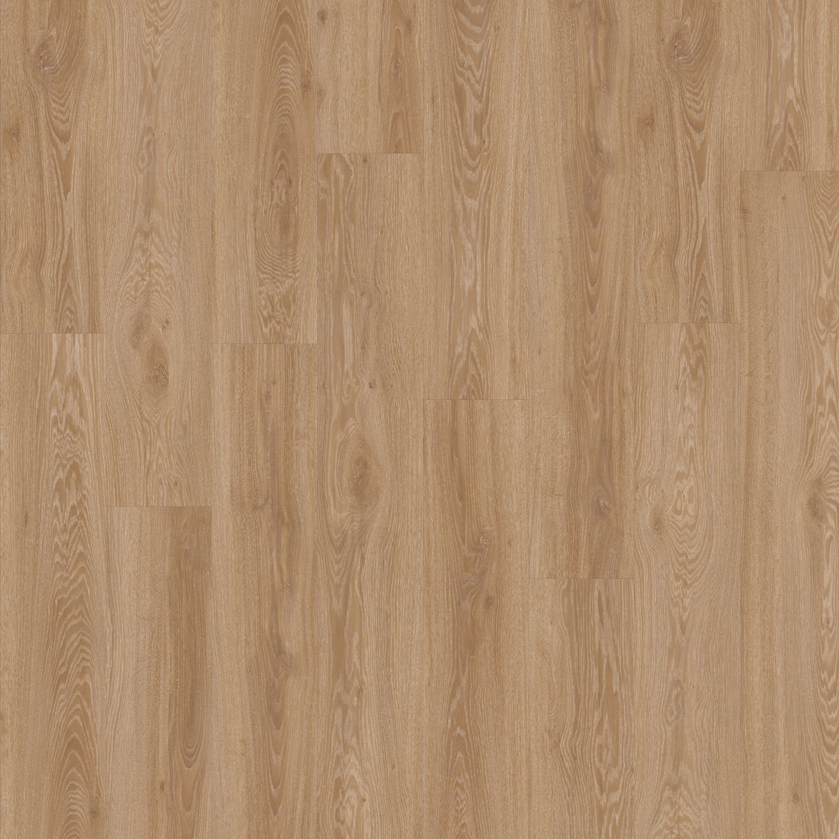 Moduleo LayRed Blackjack Oak 22450 brown click LVT flooring