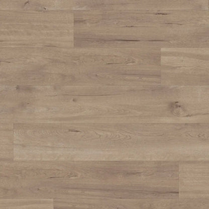 Karndean Van Gogh Frosted Birch LVT 0.55mm VGW83T | Trade Prices