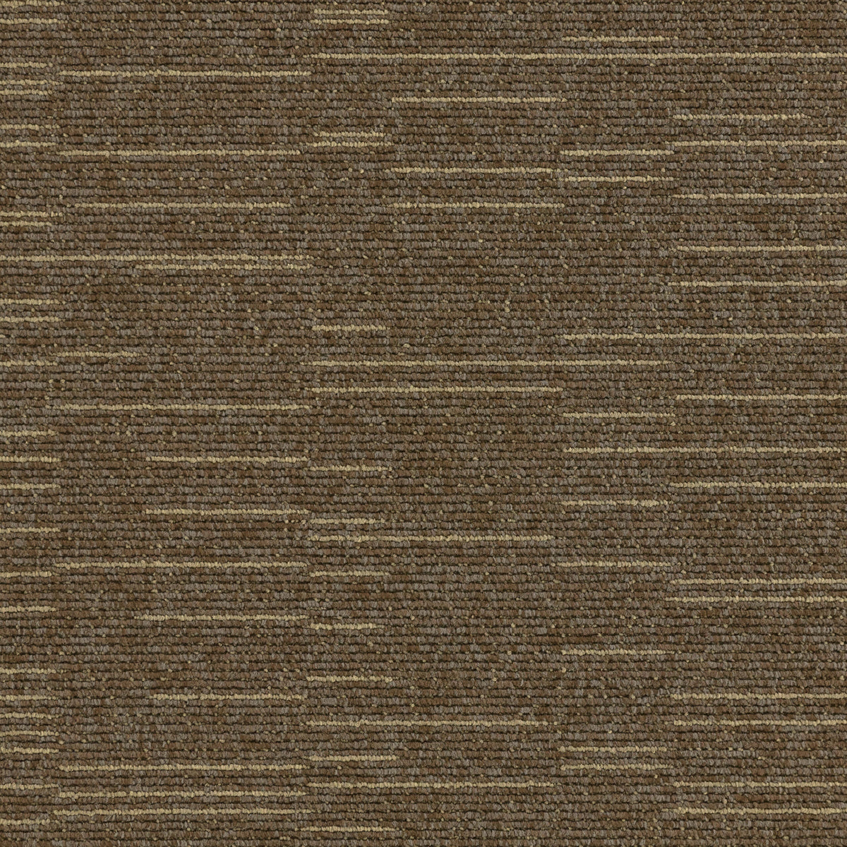 Paragon Cloudburst Starfield Shower 102194 carpet tile swatch