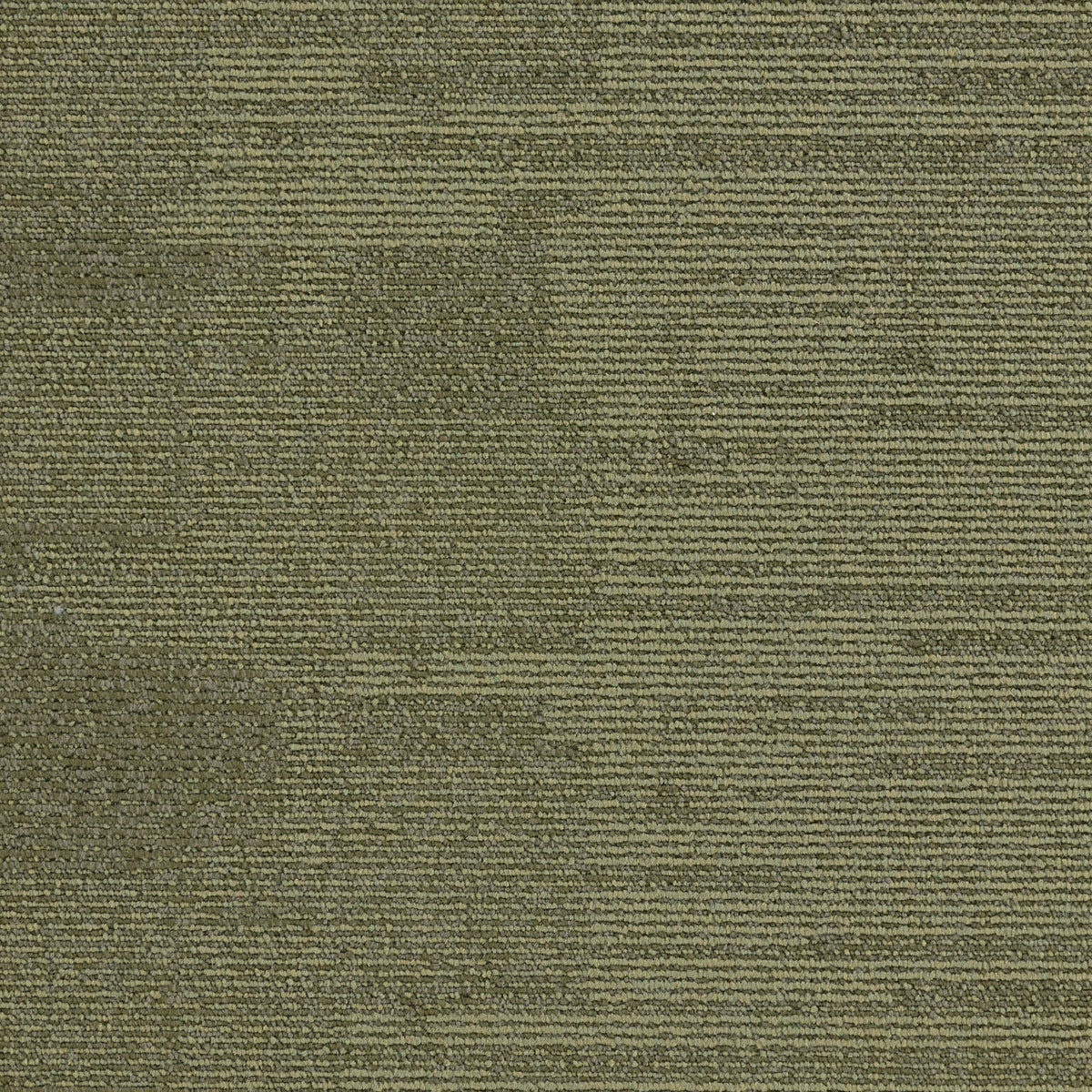 Paragon Millstone Gritstone Moss 501241 carpet tile swatch