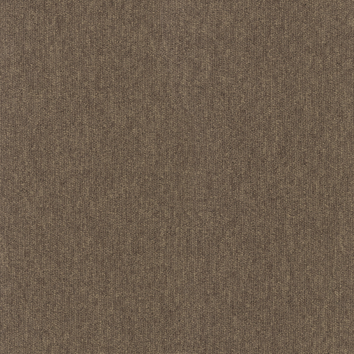 Paragon Vital Nordic Clay 1350 carpet tile swatch