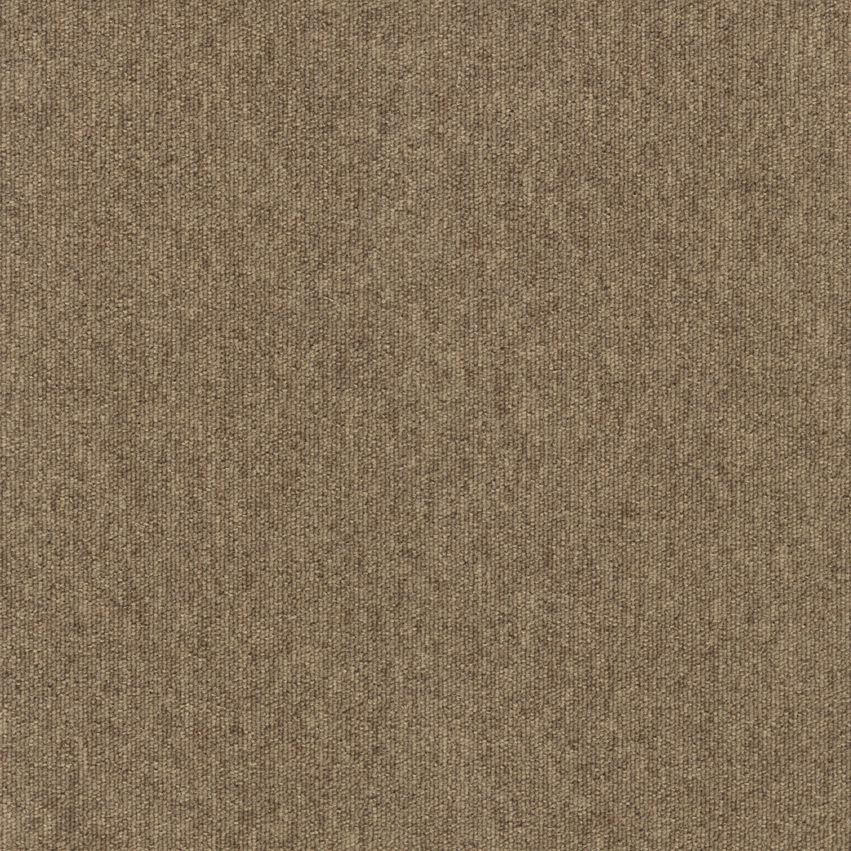 Paragon Vital Tundra Taupe 1020 carpet tile swatch