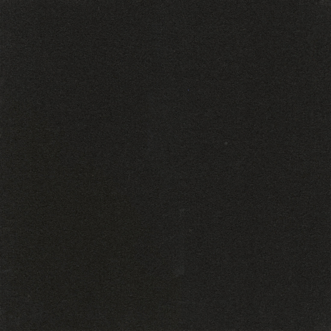 Paragon Workspace Cut Pile Raven 8181C carpet tile swatch
