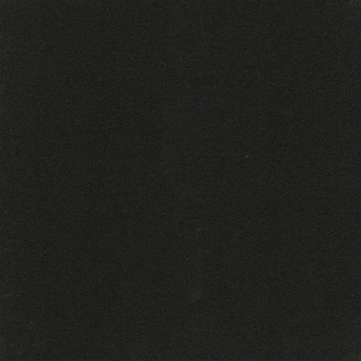 Paragon Workspace Cut Pile Raven 8181C carpet tile swatch