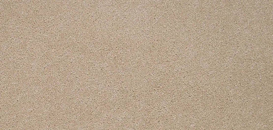 Flooring Wholesale Twist Clay Carpet wide swatch