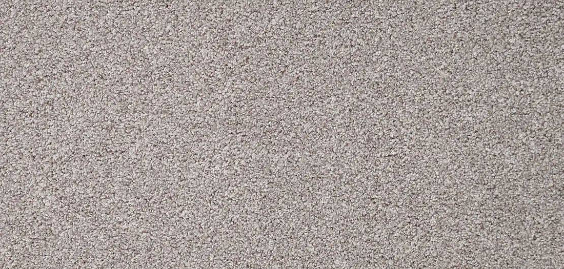 Flooring Wholesale Twist Magnet Carpet wide swatch