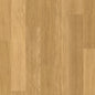 Quickstep Eligna Natural Varnished Oak 8mm Laminate EL896 | Trade Prices