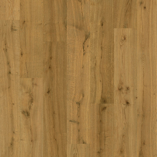 Quickstep Impressive Truffle Oak 8mm Laminate IM8256