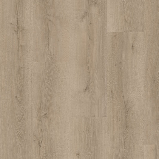 Quickstep Majestic Desert Oak Brushed Grey 9.5mm Laminate MJ3552 | Trade Prices