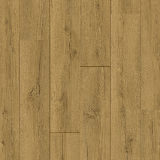Quickstep Classic Honey Brown Oak 8mm Laminate CLM5792