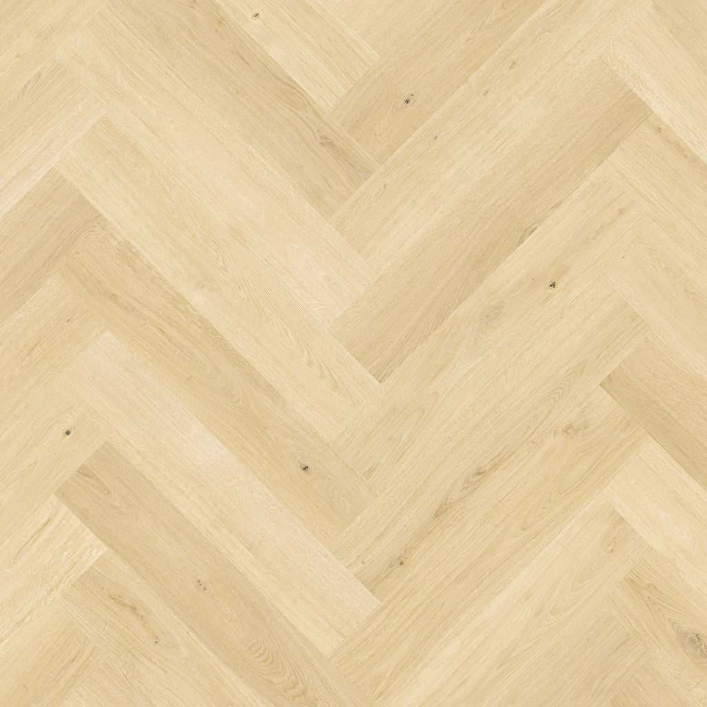 Quickstep Impressive Design Ginger Oak 8mm Laminate IMD8246 | Trade Prices