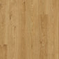 Quickstep Eligna White Oak Light 8mm Laminate EL1491 | Trade Prices
