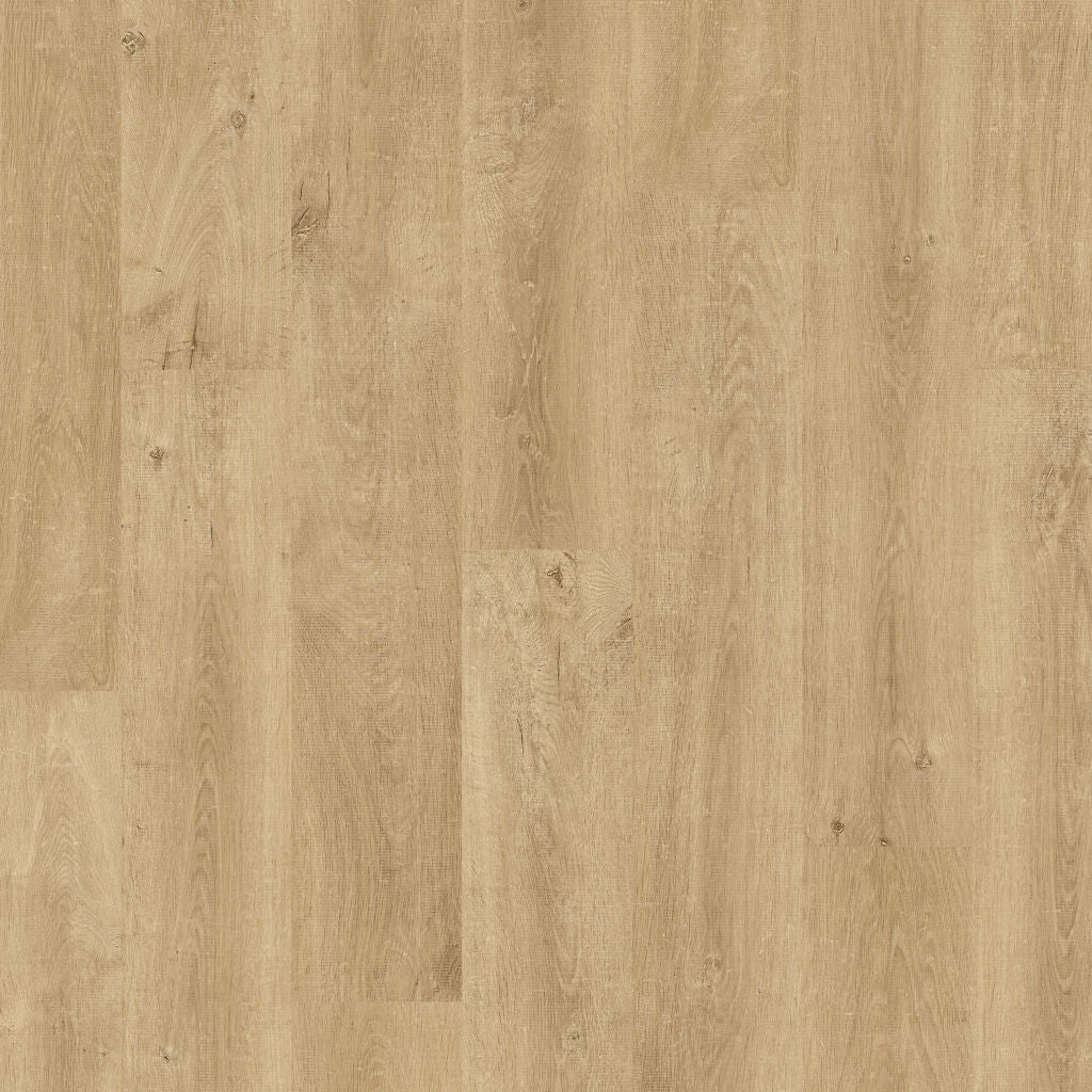 Quickstep Eligna Venice Oak Natural 8mm Laminate EL3908 | Trade Prices