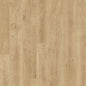 Quickstep Eligna Venice Oak Natural 8mm Laminate EL3908 | Trade Prices
