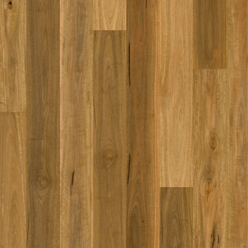 Quickstep Cascada Spotted Gum 1 Strip engineered wood plank CASC3859